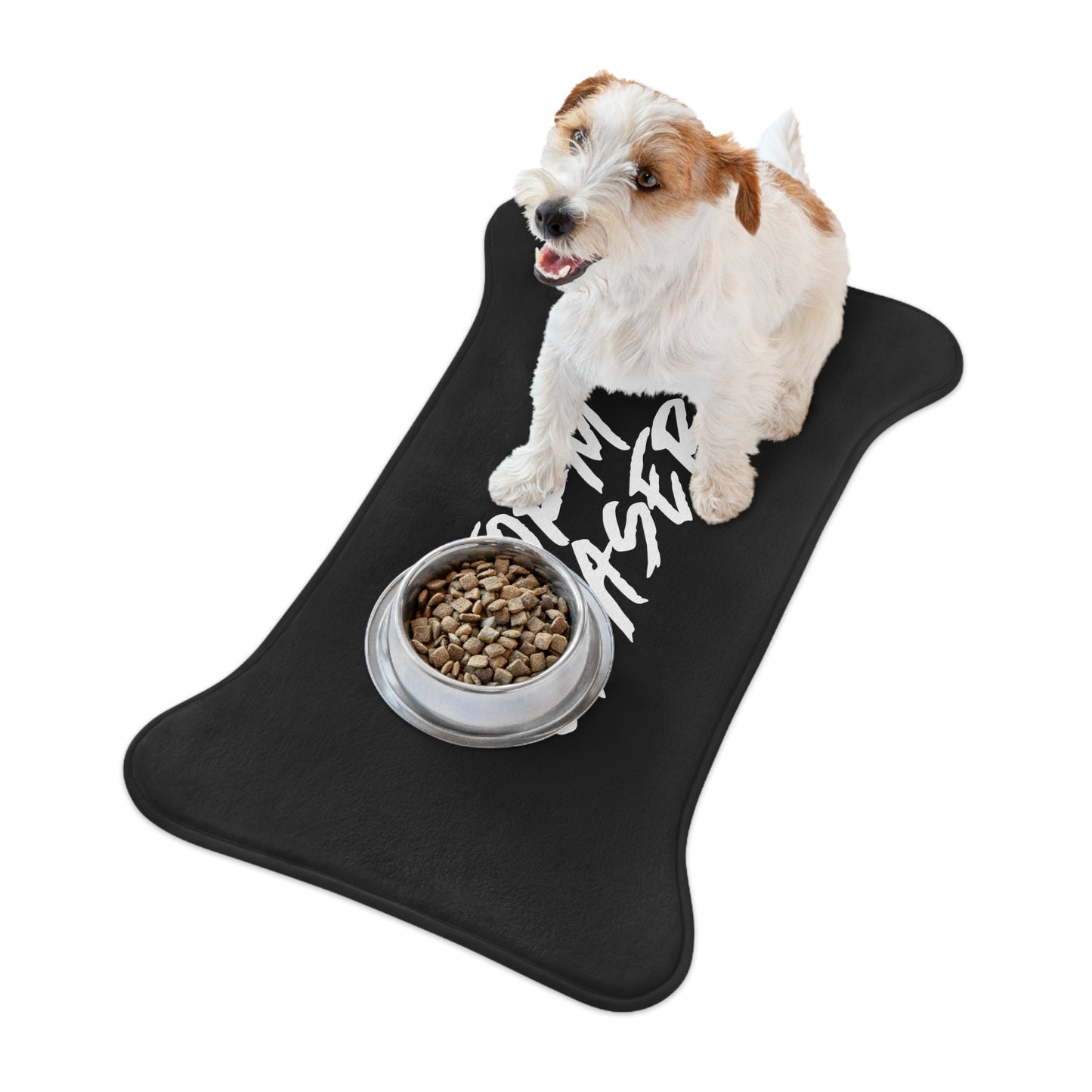 Storm Chaser Pet Feeding Mat