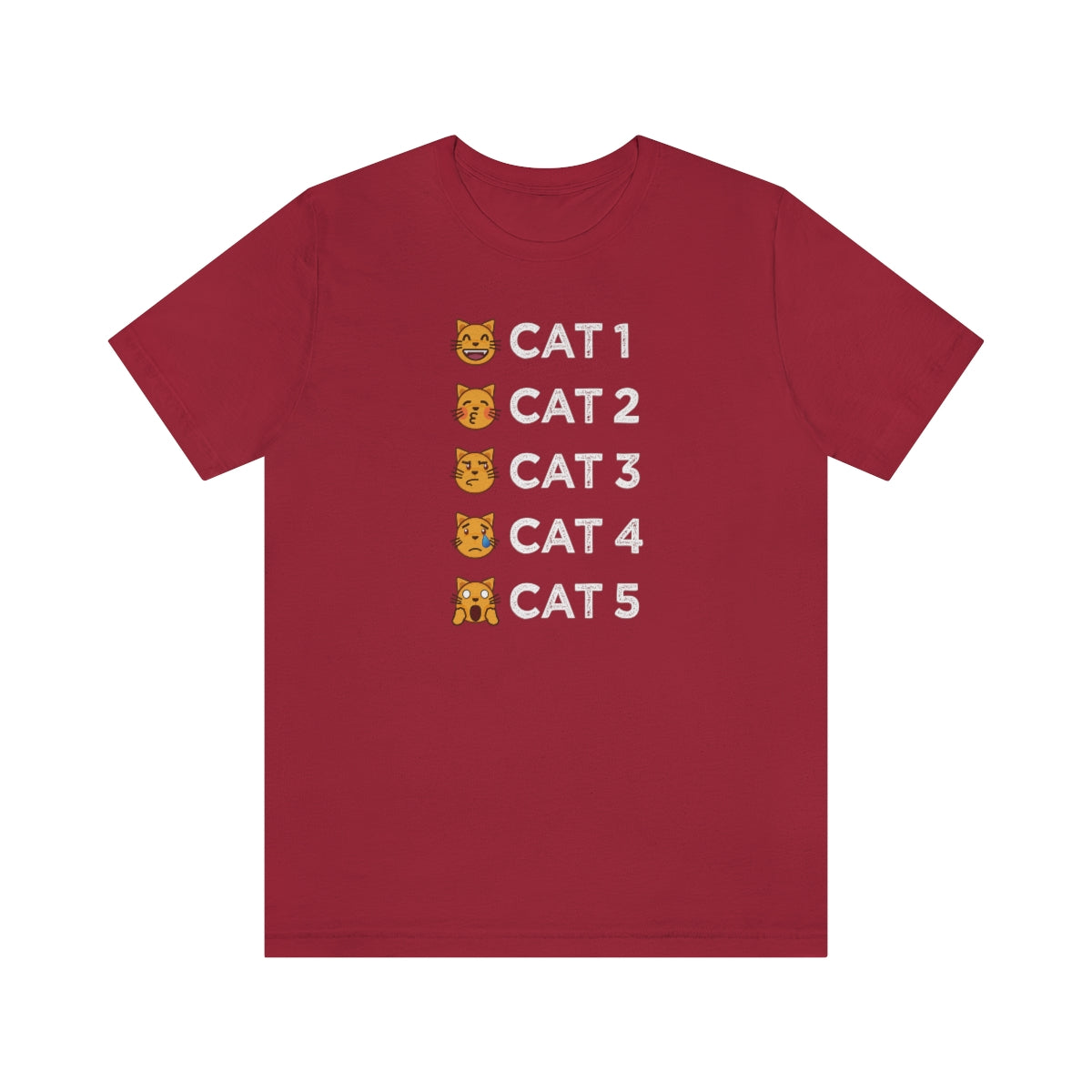 Hurricane Cat-egories Tee