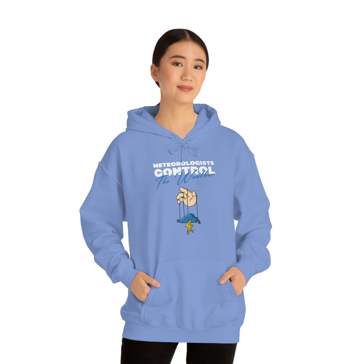 Meteorologists Control The Weather Hoodie