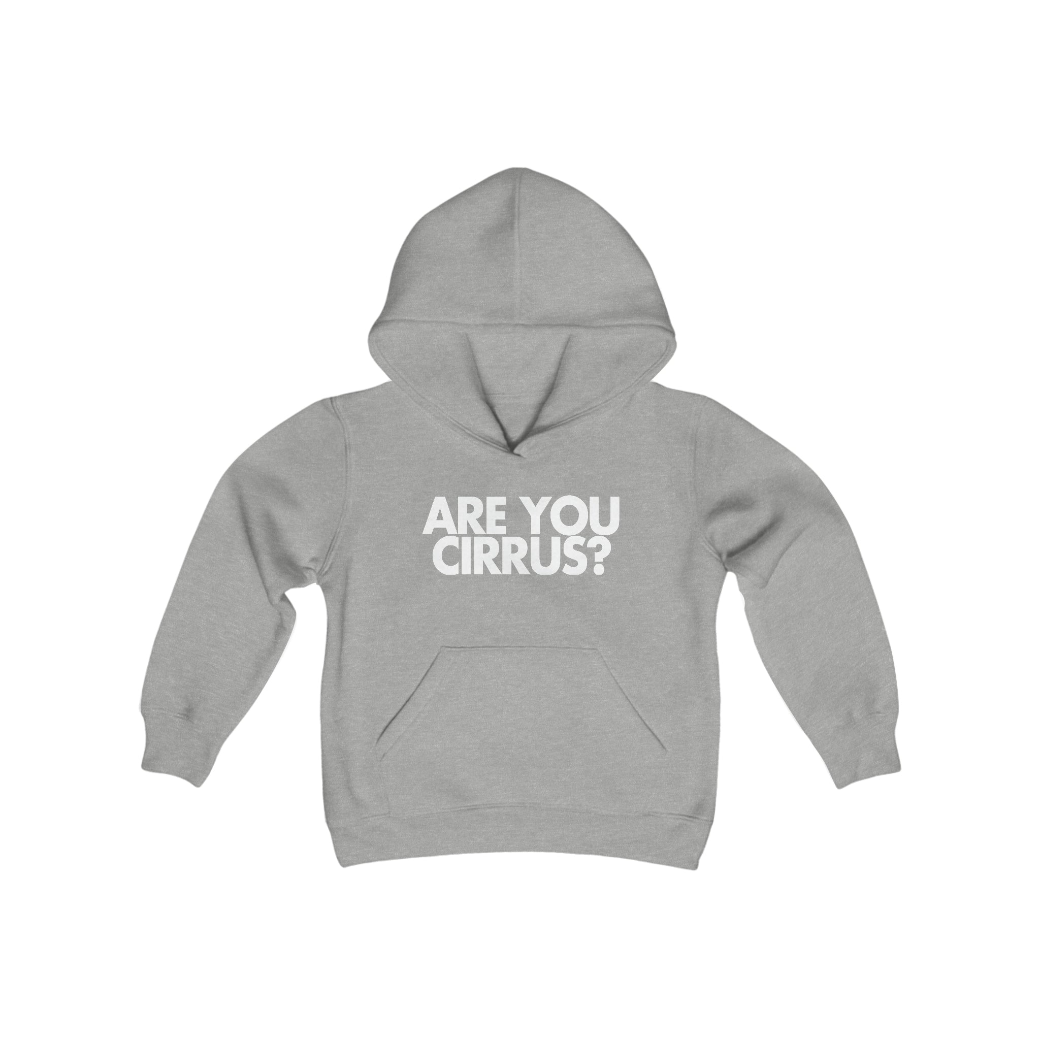 Are You Cirrus? Children's Hoodie 