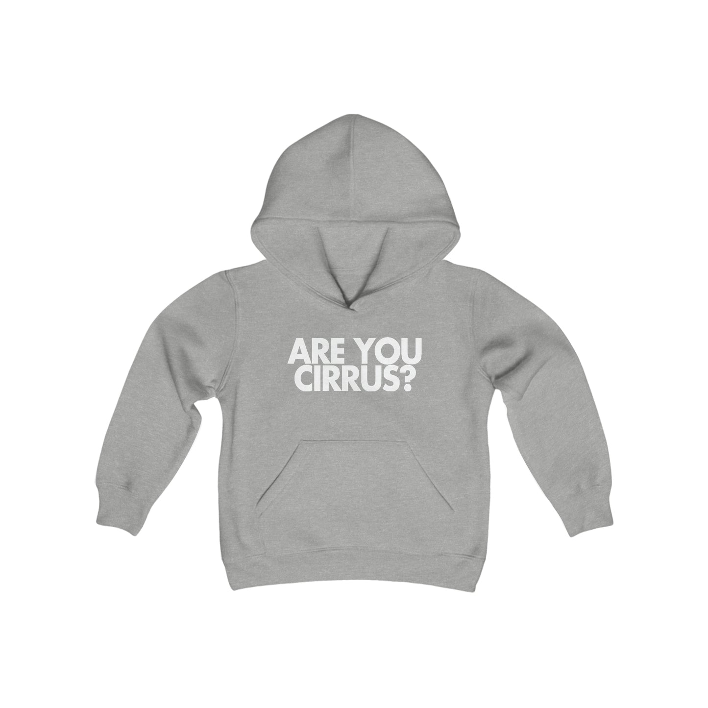 Are You Cirrus? Children's Hoodie