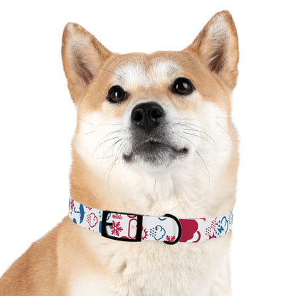 Wx Icon (Red/Blue) Dog Collar