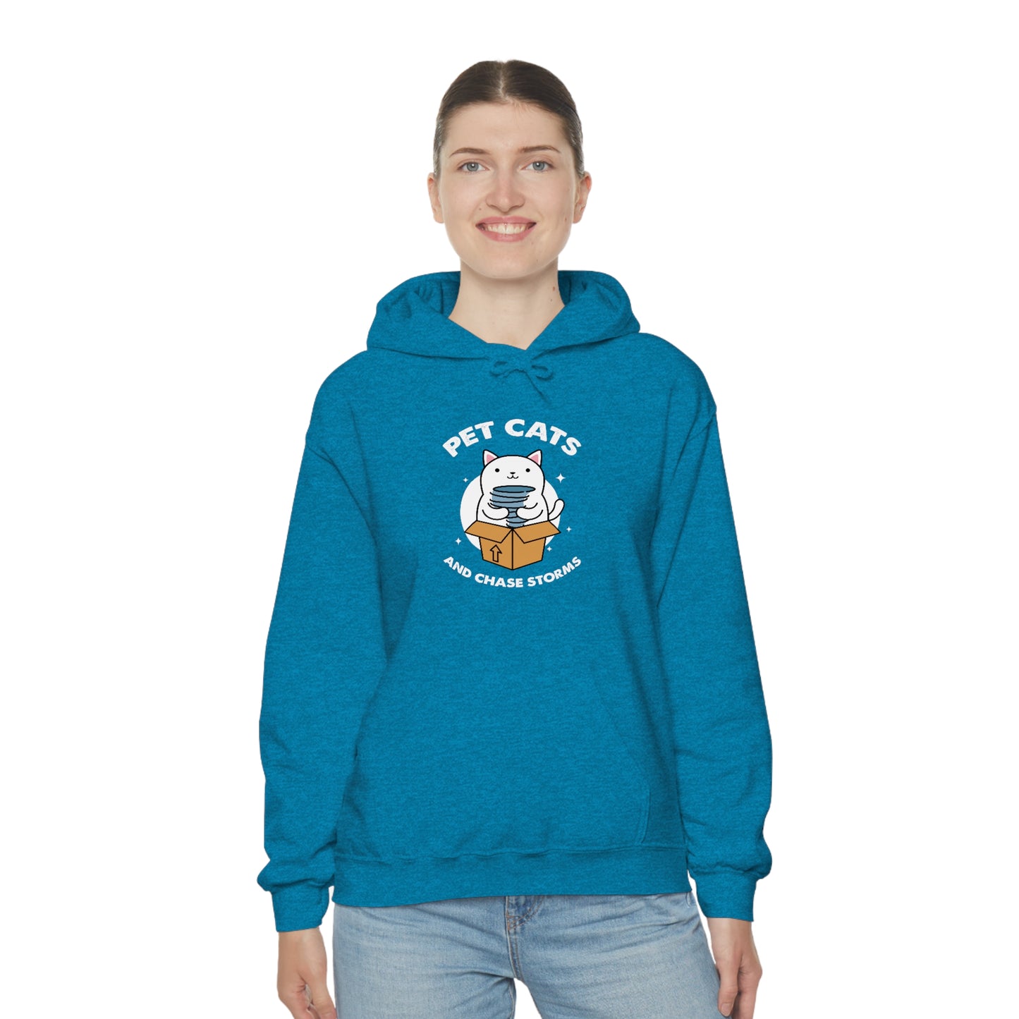 Pet Cats and Chase Storms Hoodie