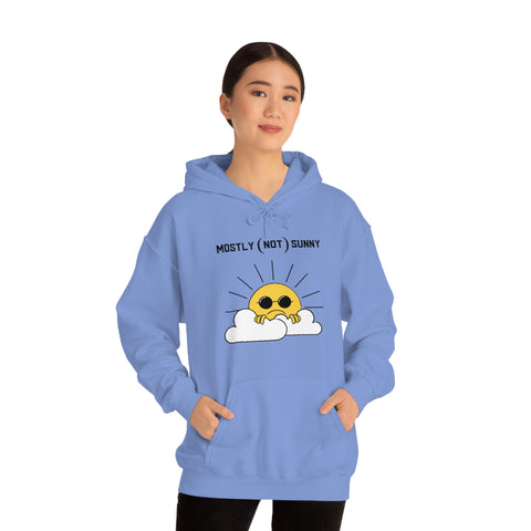 Mostly (Not) Sunny Hoodie