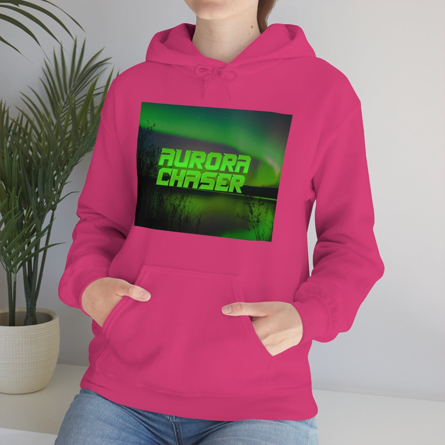 Aurora Chasers Hoodie