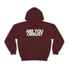 Are You Cirrus? Hoodie