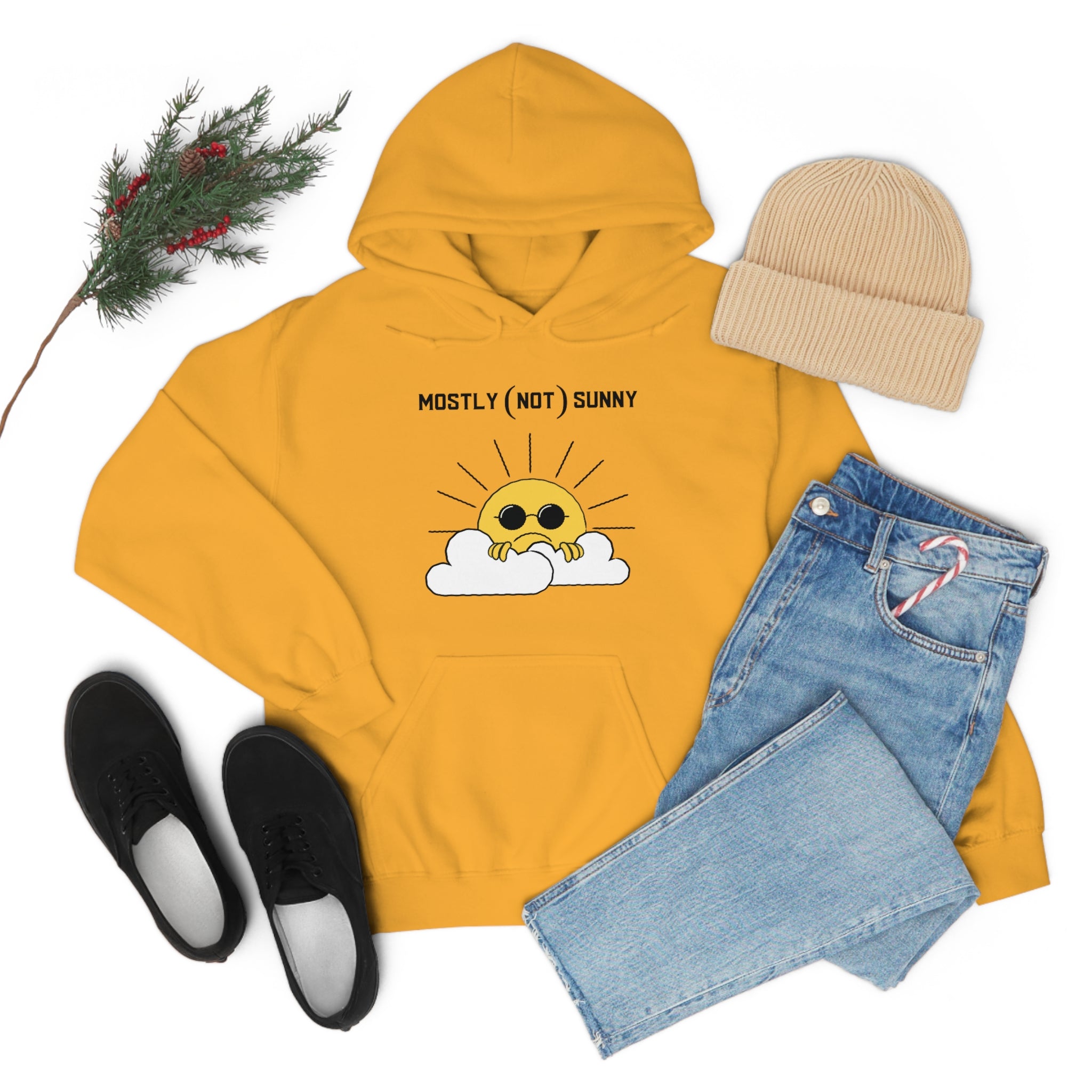 Mostly (Not) Sunny Hoodie 