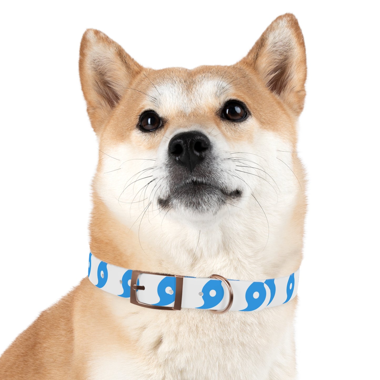 Hurricane Icon (Blue) Dog Collar