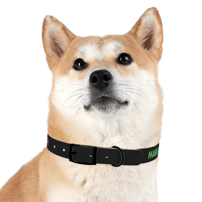 Severe Outlook Dog Collar