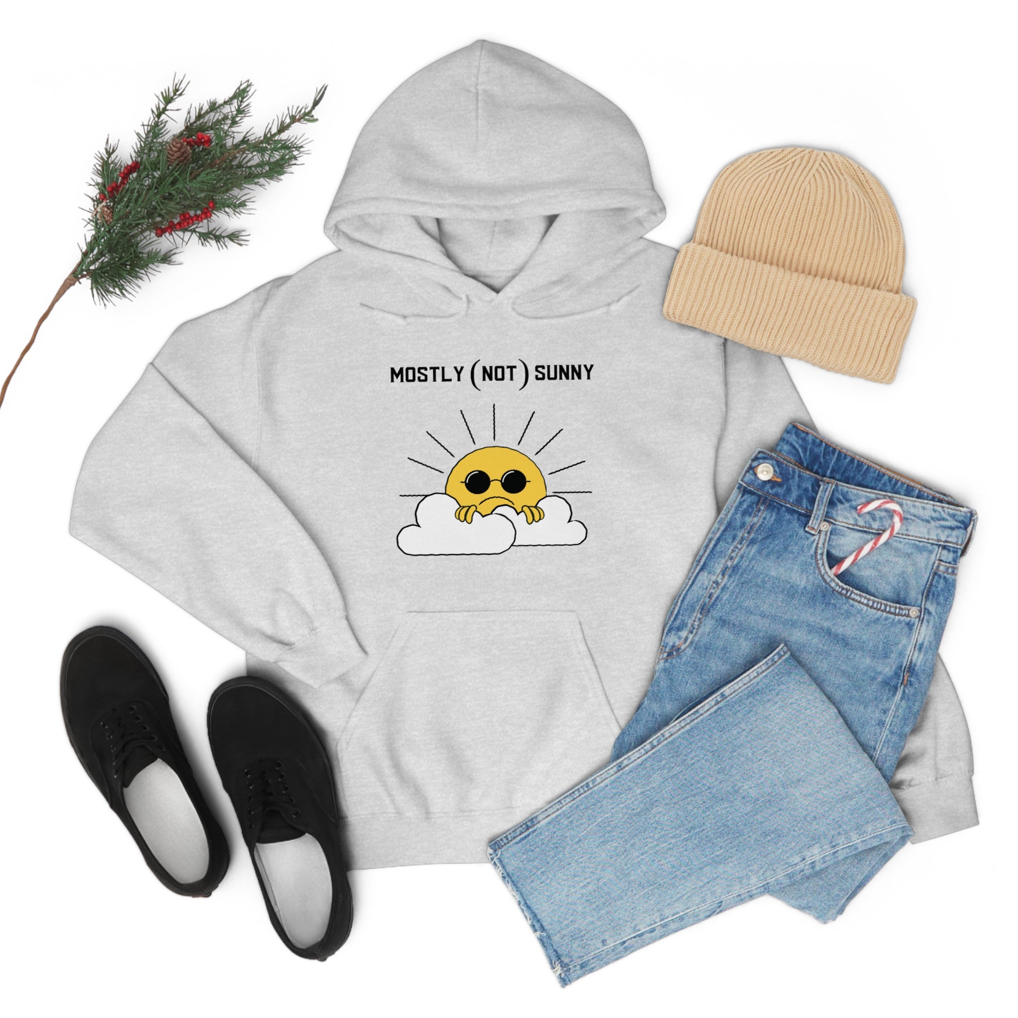 Mostly (Not) Sunny Hoodie 