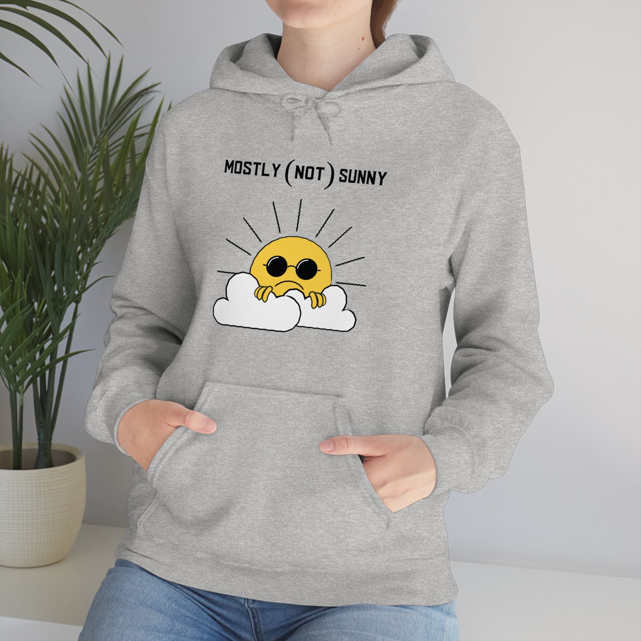 Mostly (Not) Sunny Hoodie 