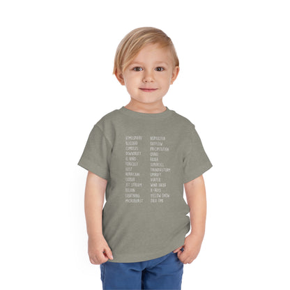 Weather ABCs Toddler Tee