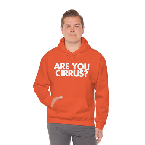 Are You Cirrus? Hoodie