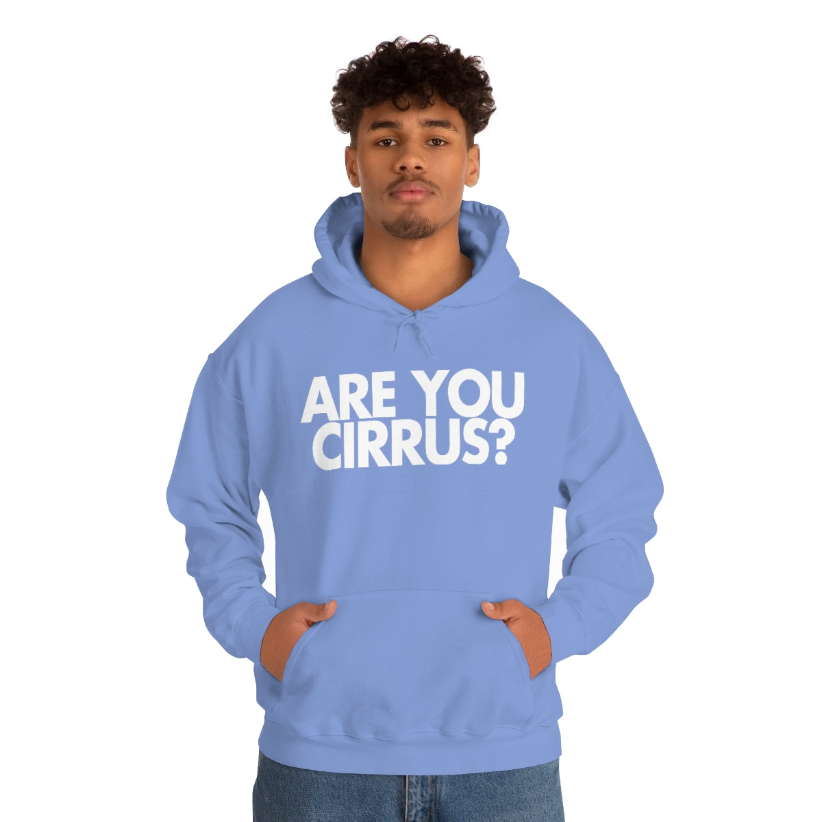 Are You Cirrus? Hoodie