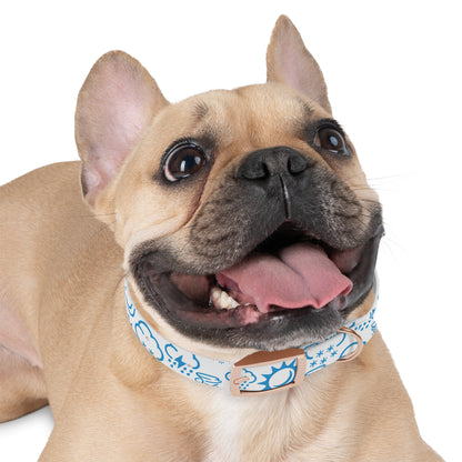 Wx Icon (White/Blue) Dog Collar