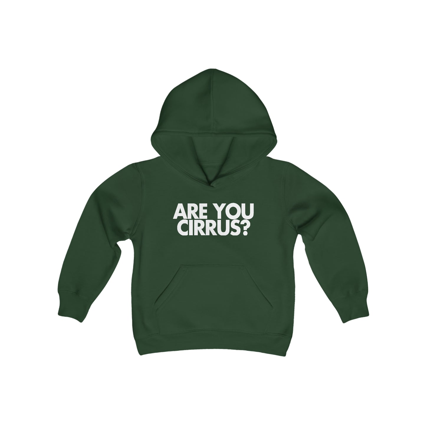 Are You Cirrus? Children's Hoodie