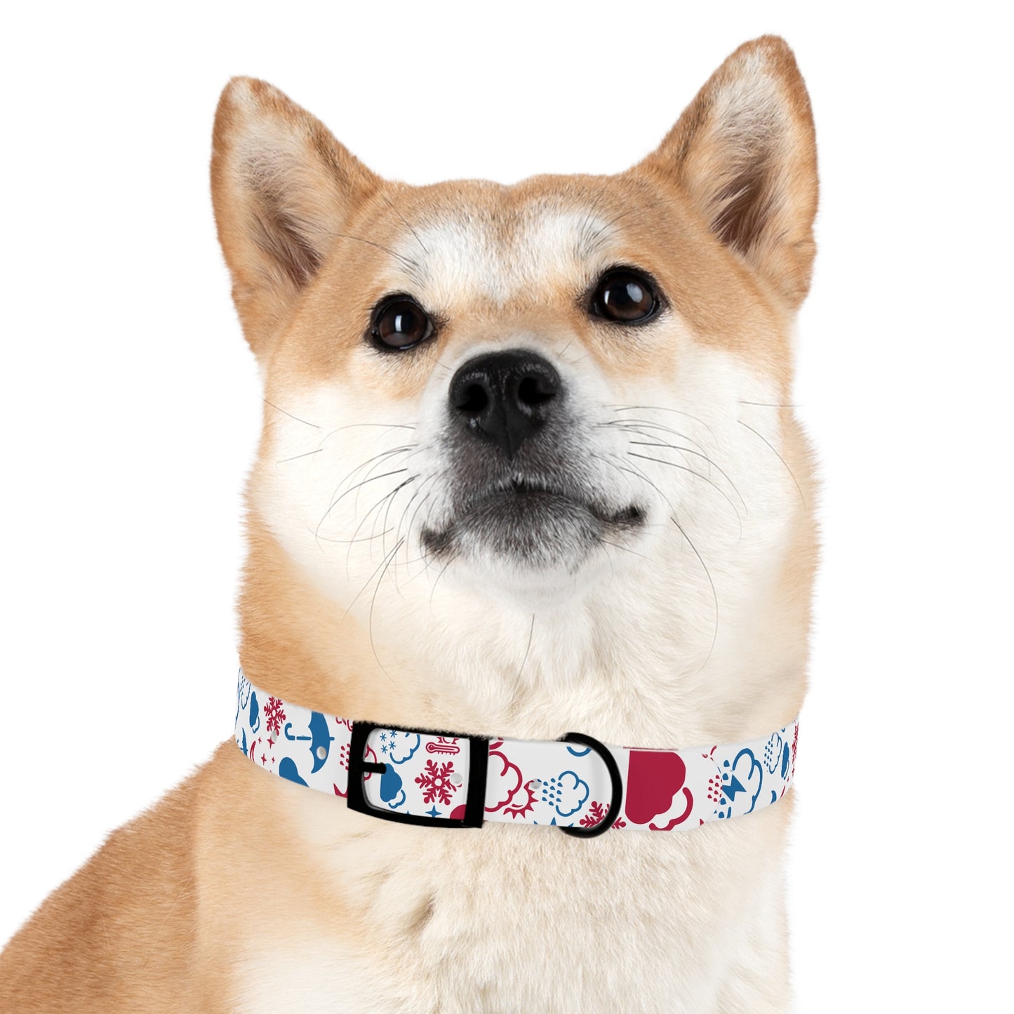 Wx Icon (Red/Blue) Dog Collar