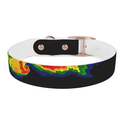 Radar Print Dog Collar