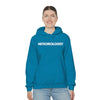 Meteorologist Hoodie
