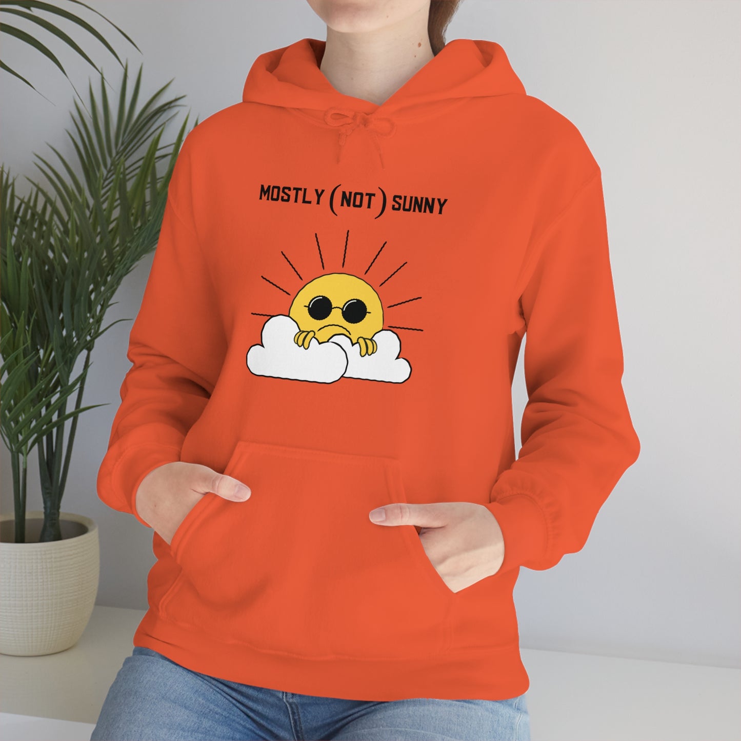 Mostly (Not) Sunny Hoodie