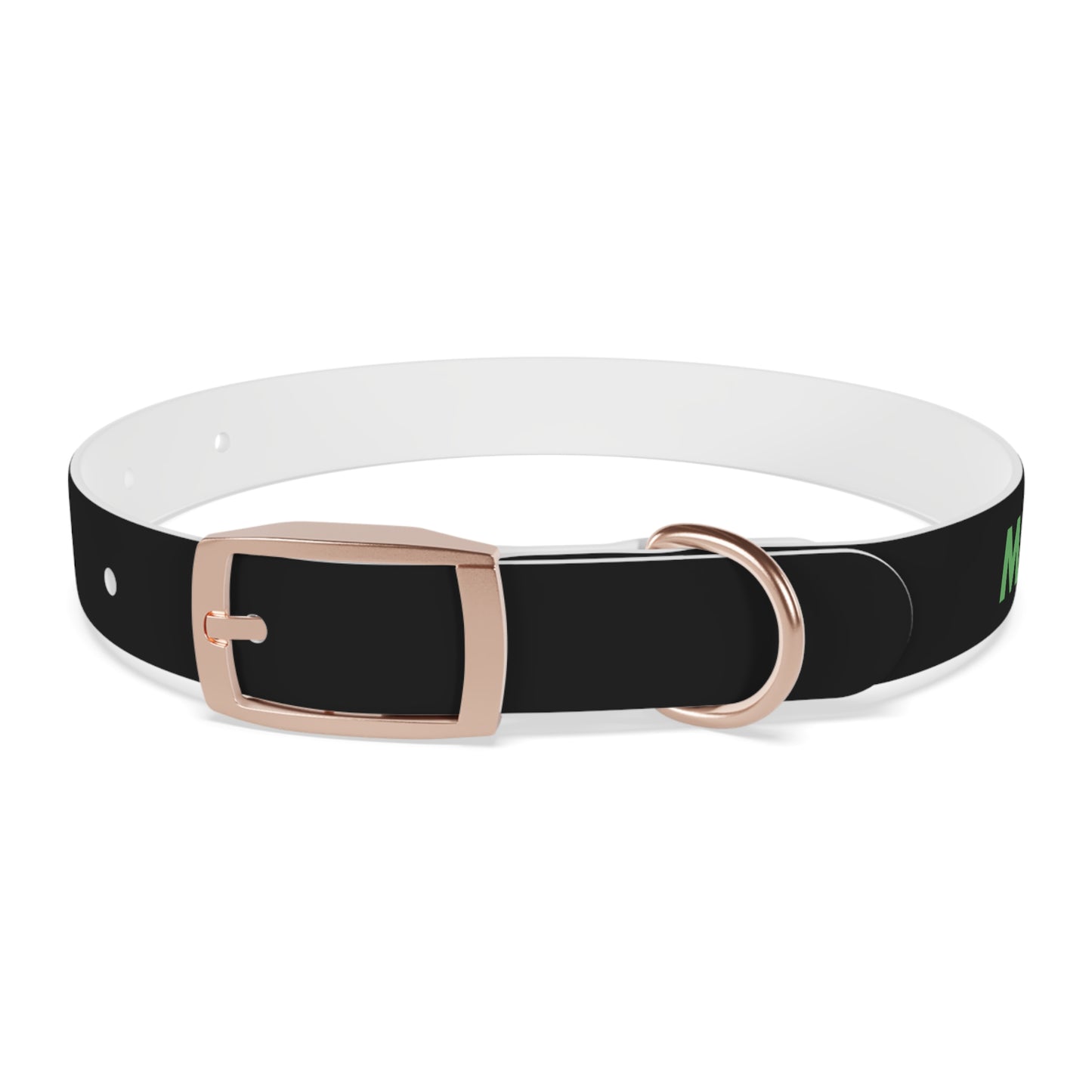 Severe Outlook Dog Collar