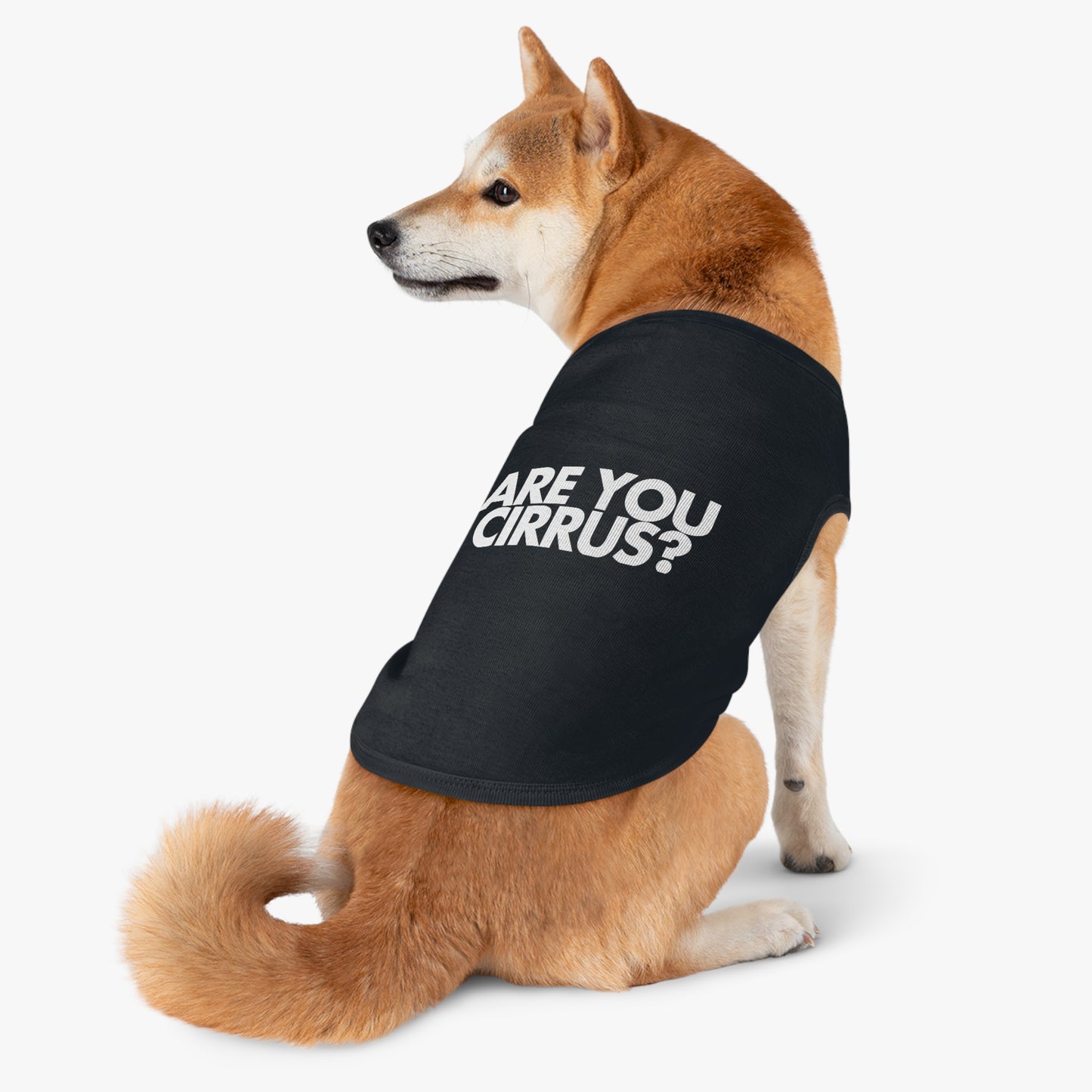 Are You Cirrus? Pet Shirt