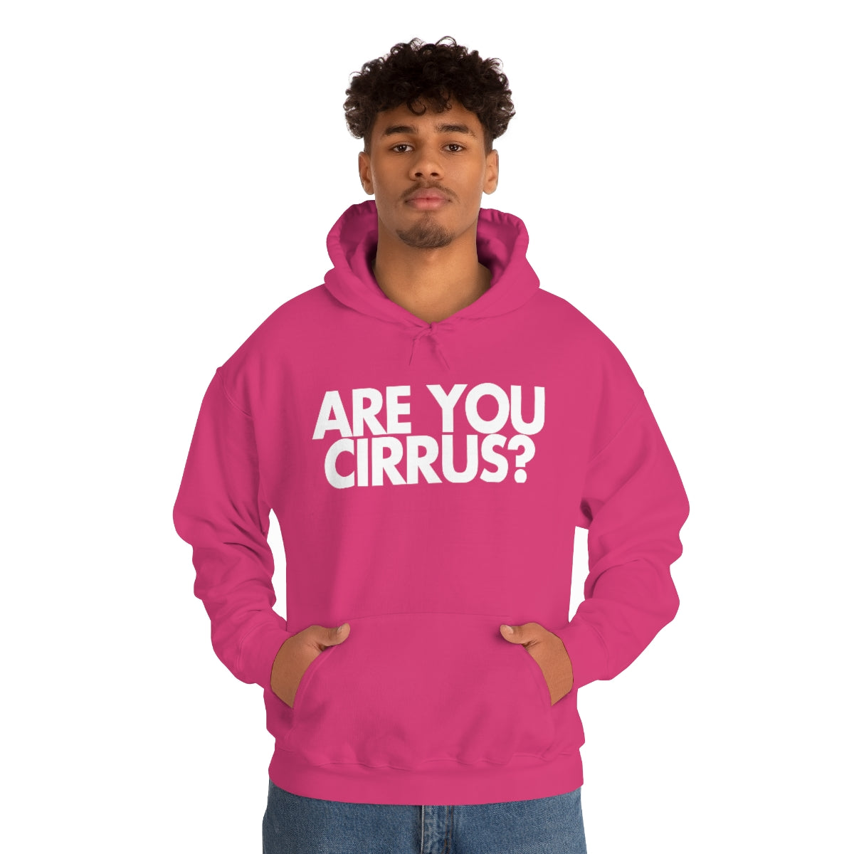 Are You Cirrus? Hoodie