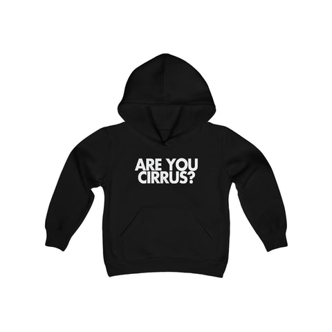 Are You Cirrus? Children's Hoodie