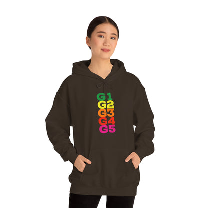 G Level Hoodie