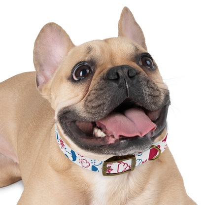 Wx Icon (Red/Blue) Dog Collar