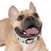 Wx Icon (Red/Blue) Dog Collar