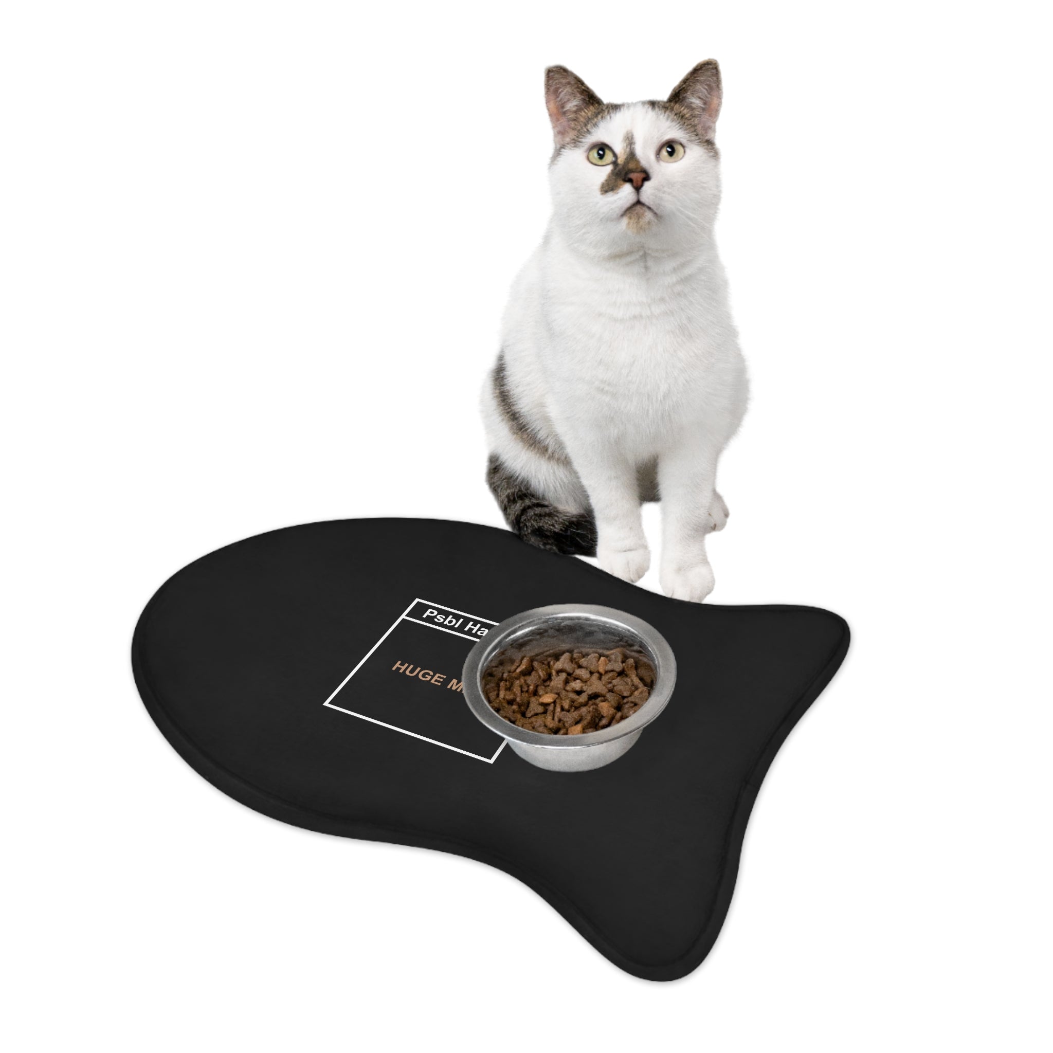 Huge Mess Pet Feeding Mat 