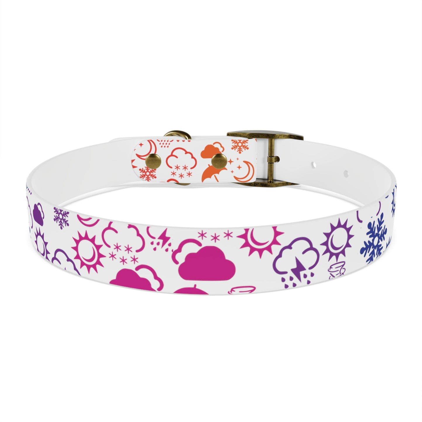 Wx Icon (White/Rainbow) Dog Collar