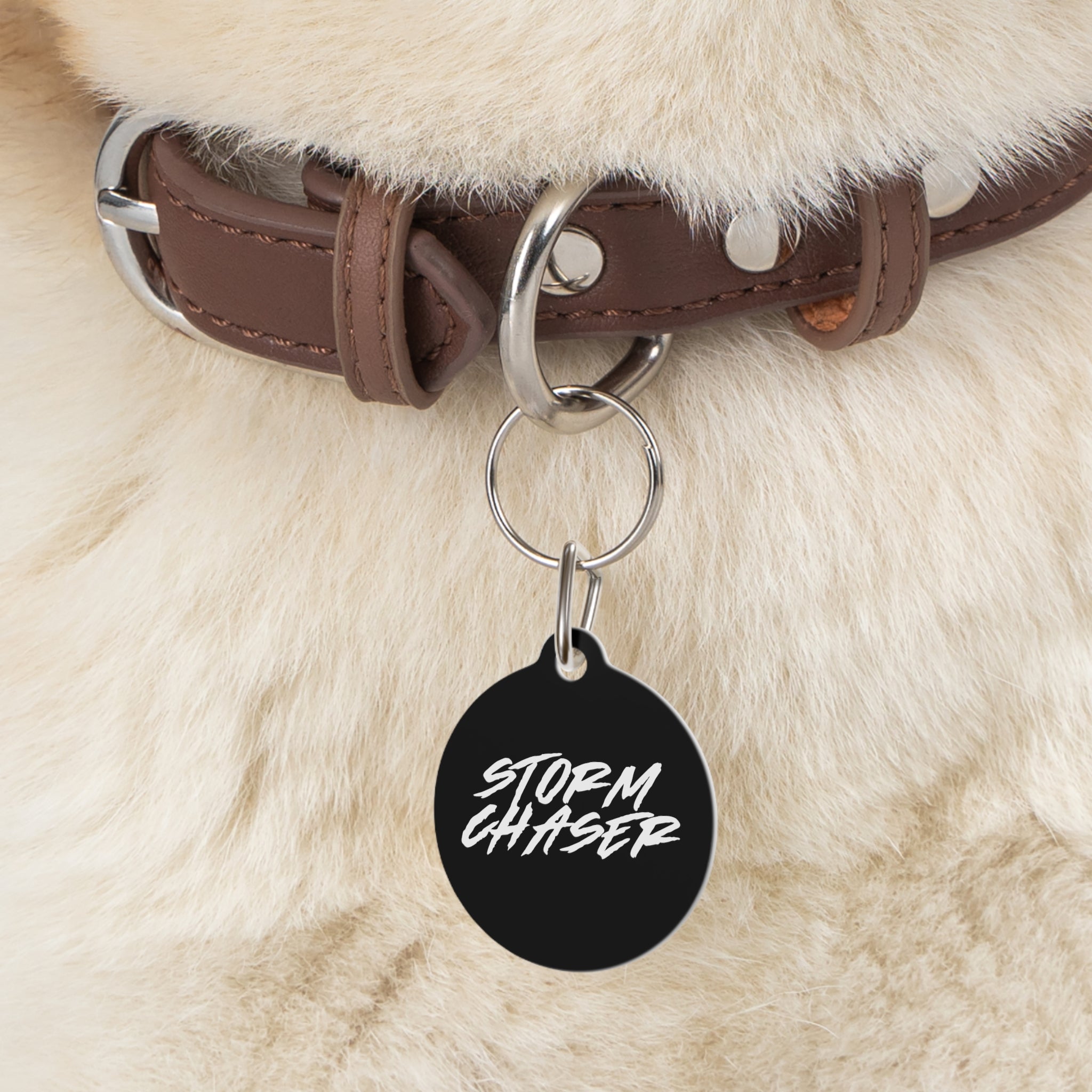 Storm Chaser Pet Tag 