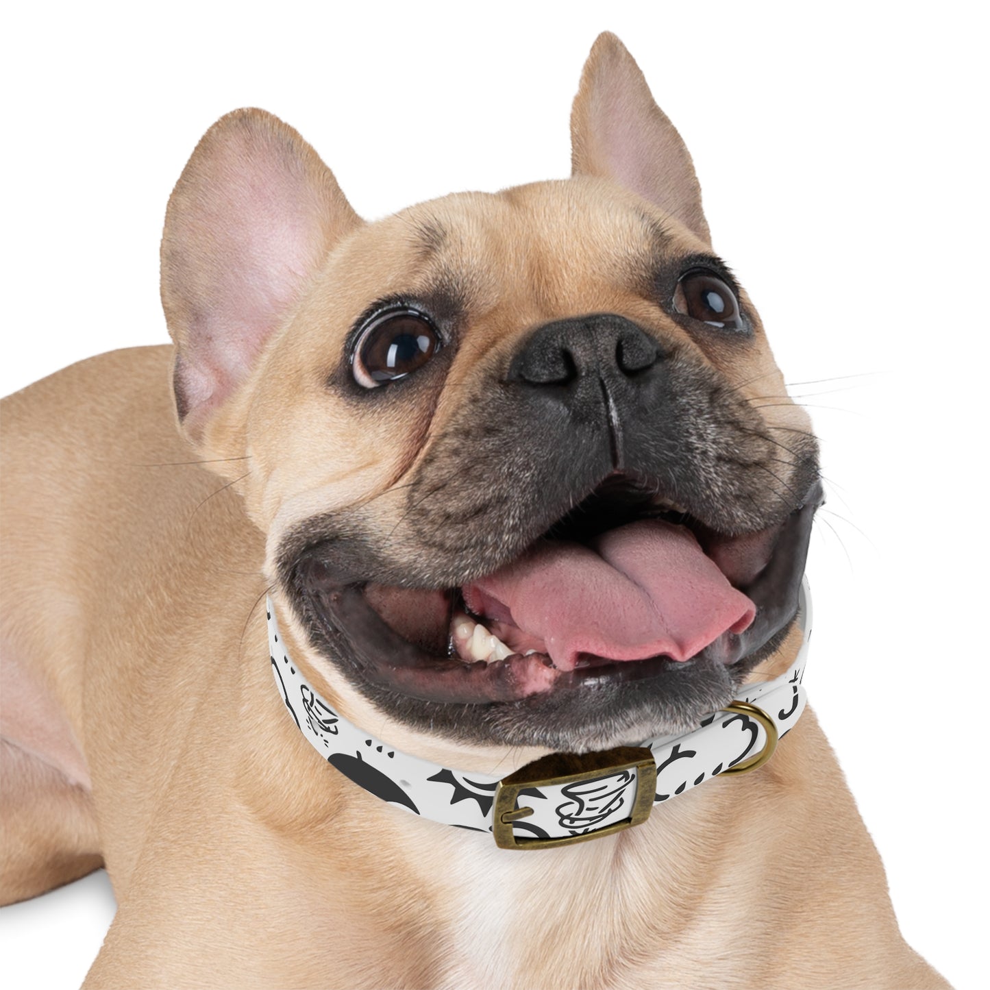 Wx Icon (White/Black) Dog Collar