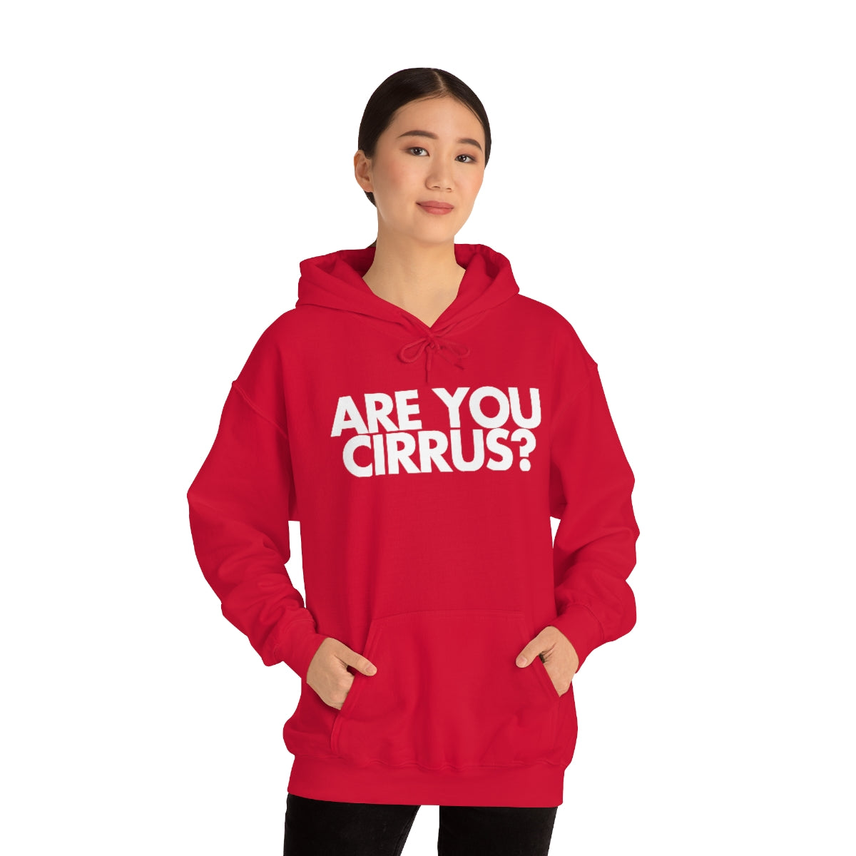 Are You Cirrus? Hoodie