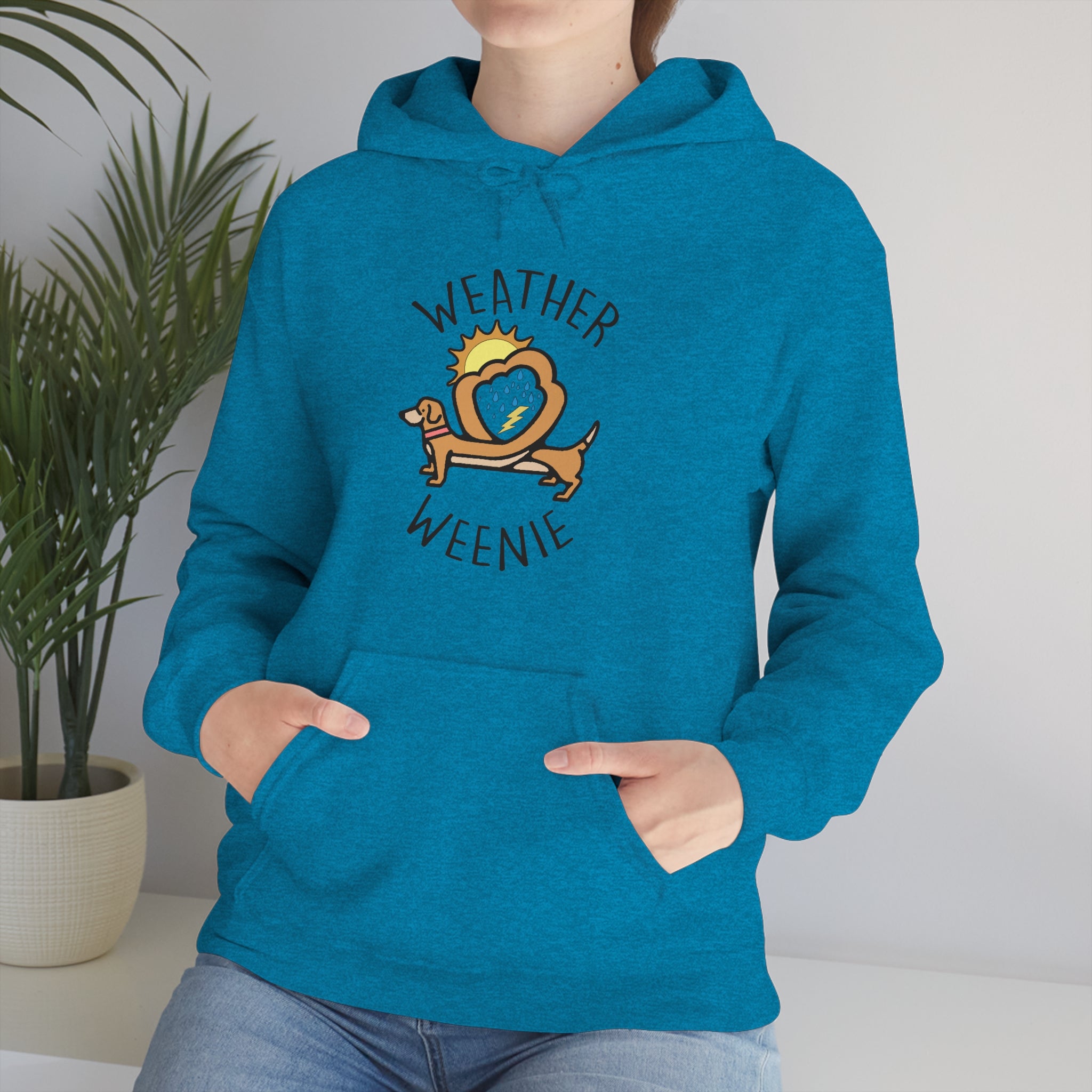 Weather Weenie Hoodie 