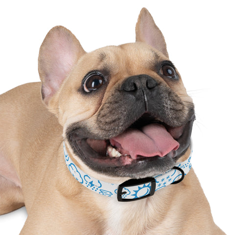 Wx Icon (White/Blue) Dog Collar