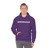 Meteorologist Hoodie