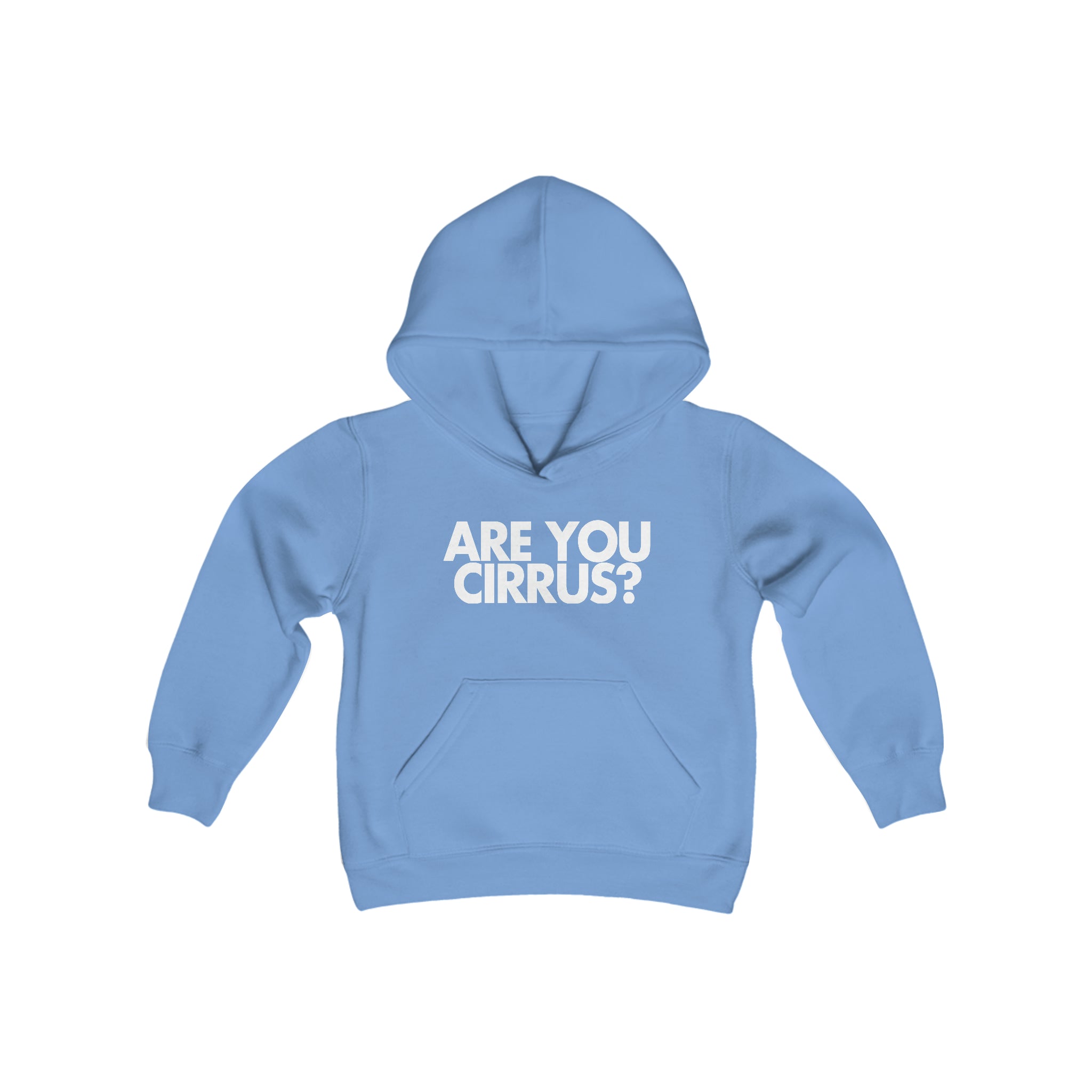 Are You Cirrus? Children's Hoodie 
