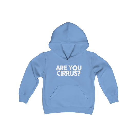 Are You Cirrus? Children's Hoodie