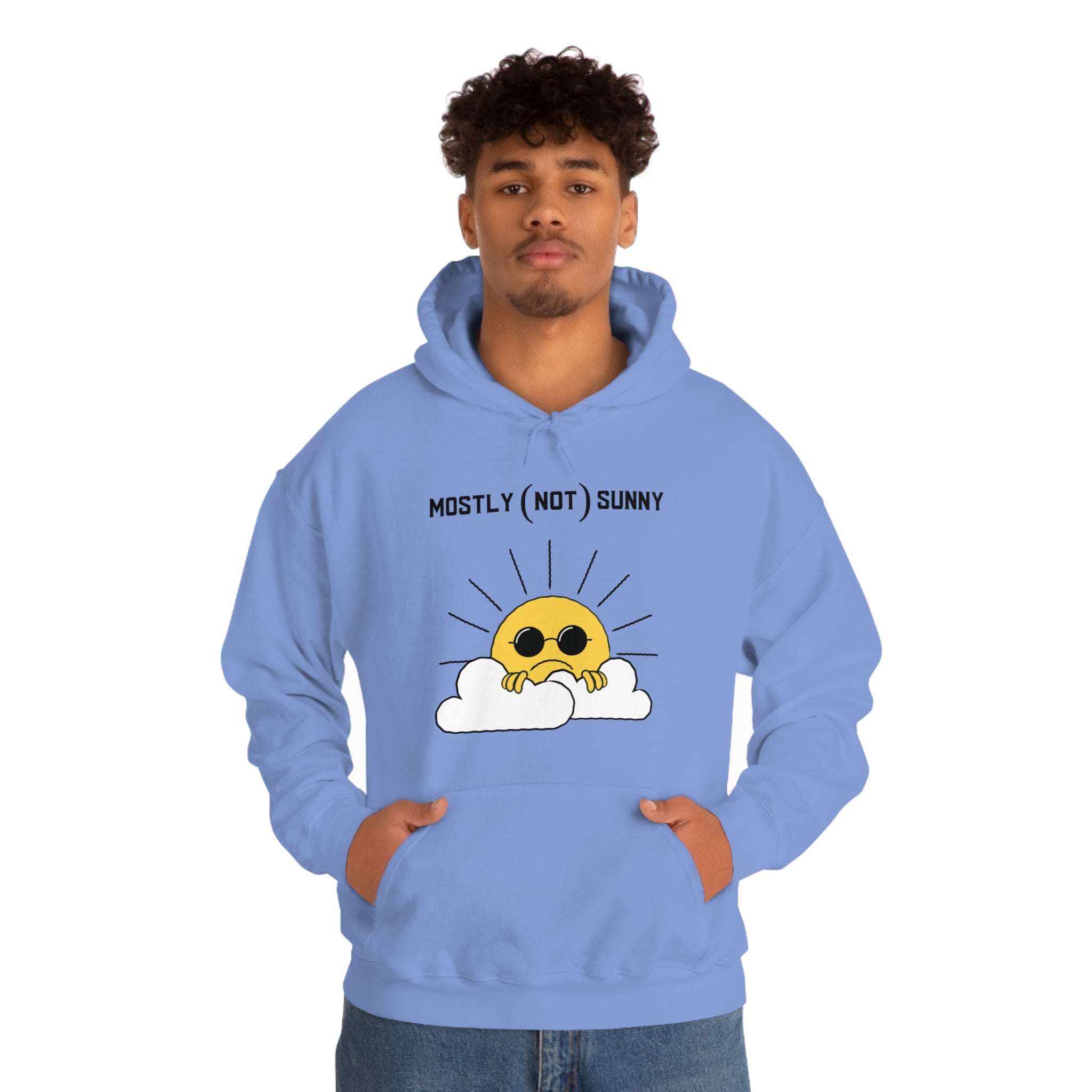 Mostly (Not) Sunny Hoodie 