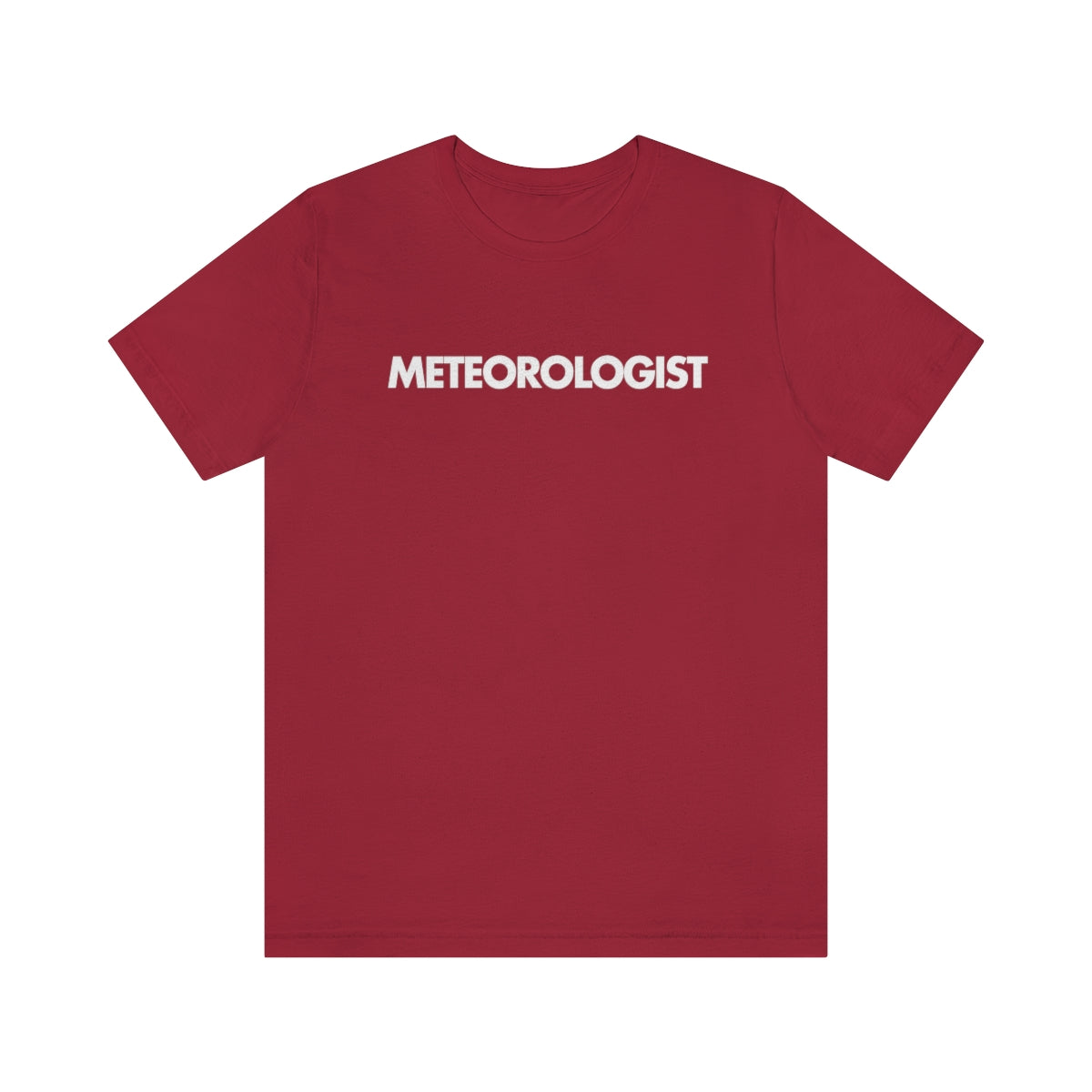 Meteorologist Tee