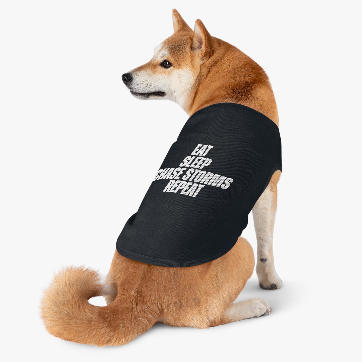 Eat, Sleep, Chase Storms, Repeat Pet Shirt