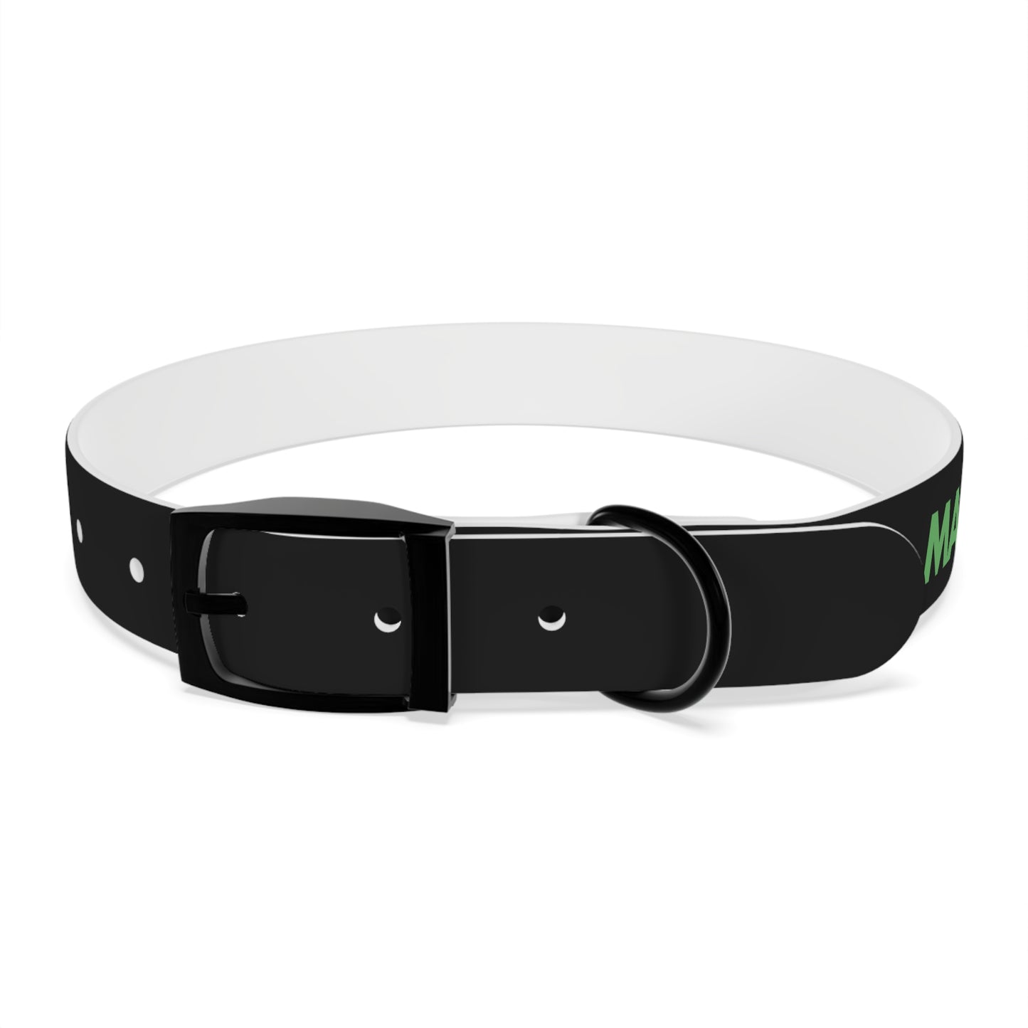 Severe Outlook Dog Collar