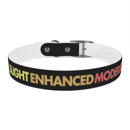 Severe Outlook Dog Collar