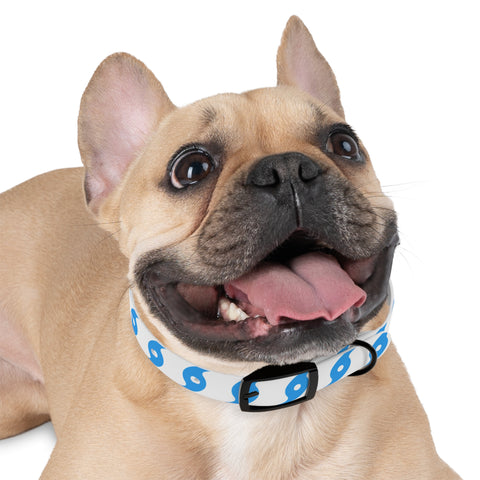Hurricane Icon (Blue) Dog Collar