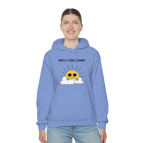 Mostly (Not) Sunny Hoodie