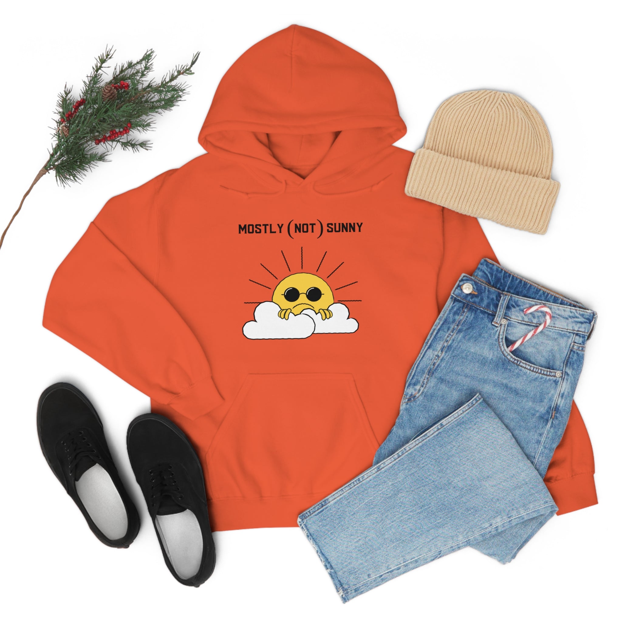 Mostly (Not) Sunny Hoodie 