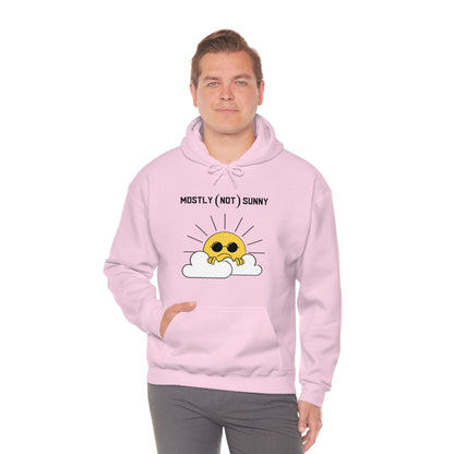 Mostly (Not) Sunny Hoodie